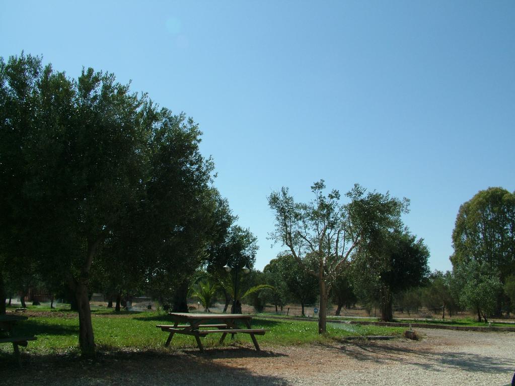 Villa Agriturismo "Terra D'Ulivi" Porto Cesareo Zimmer foto